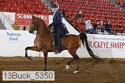 13buck_5350 proof