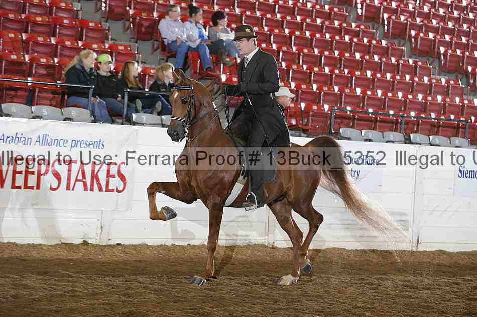 Proof 13buck_5352