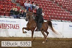 13buck_5352 proof