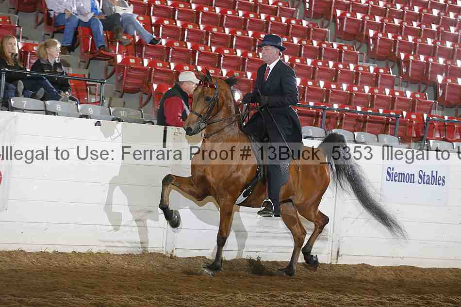 Proof 13buck_5353