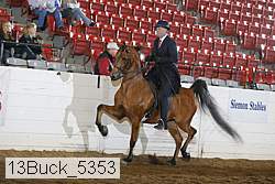 13buck_5353 proof