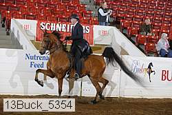 13buck_5354 proof