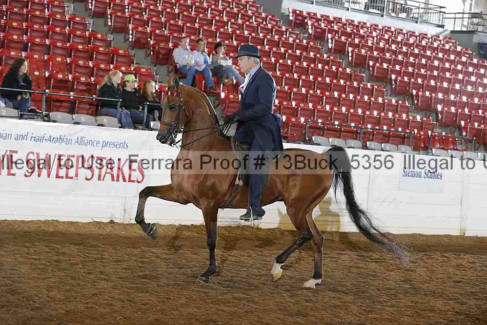 Proof 13buck_5356