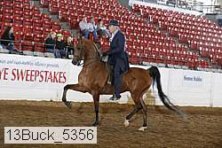 13buck_5356 proof