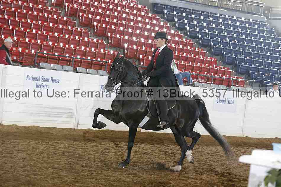 Proof 13buck_5357