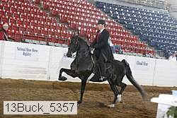13buck_5357 proof