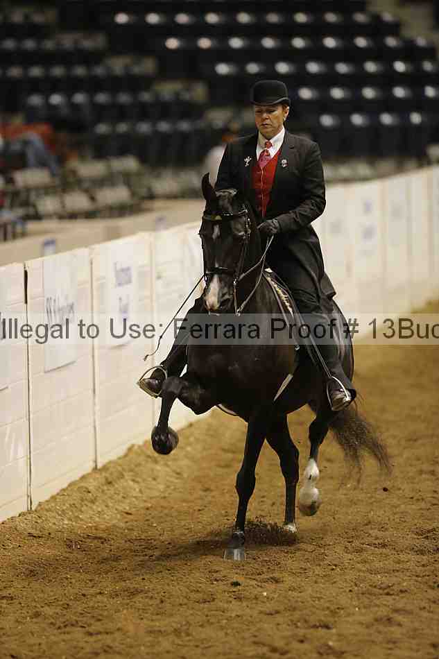 Proof 13buck_5358