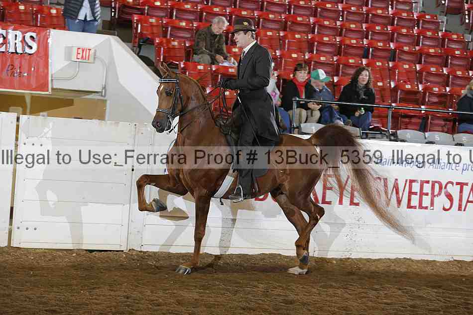 Proof 13buck_5359