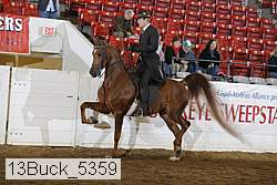 13buck_5359 proof