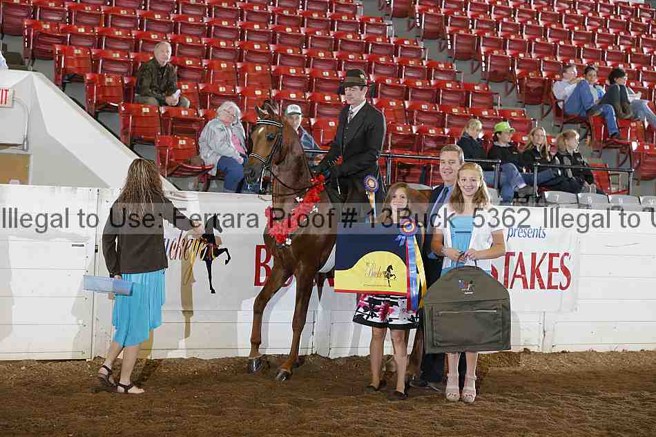 Proof 13buck_5362