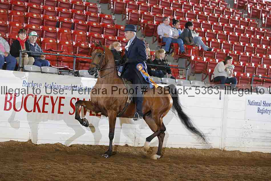 Proof 13buck_5363