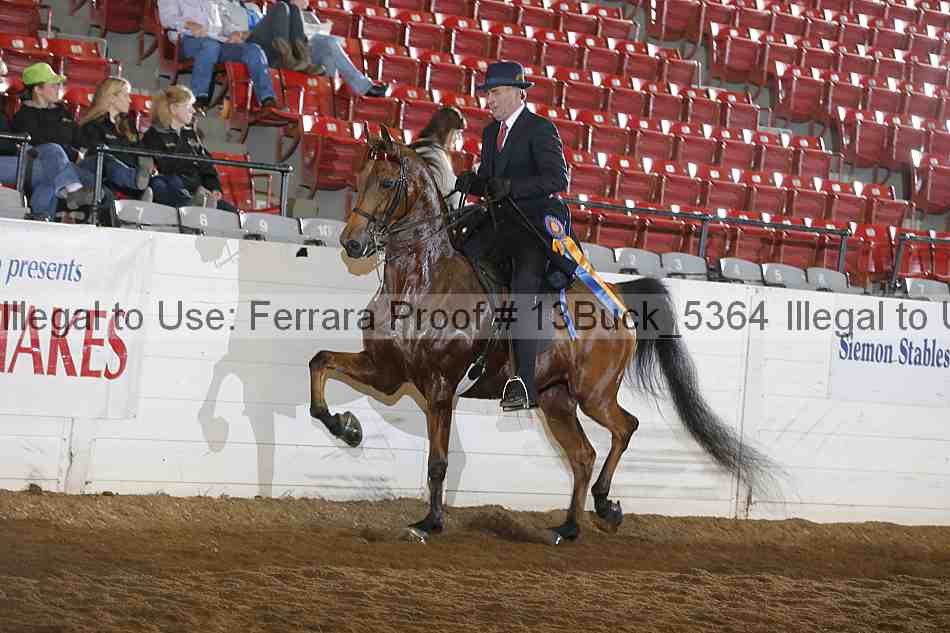 Proof 13buck_5364