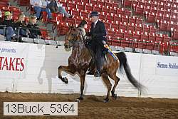 13buck_5364 proof