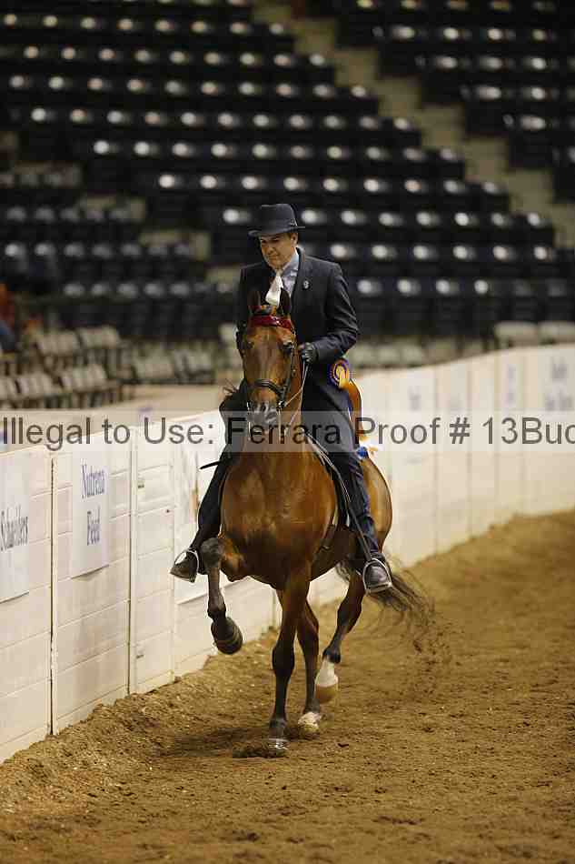 Proof 13buck_5365