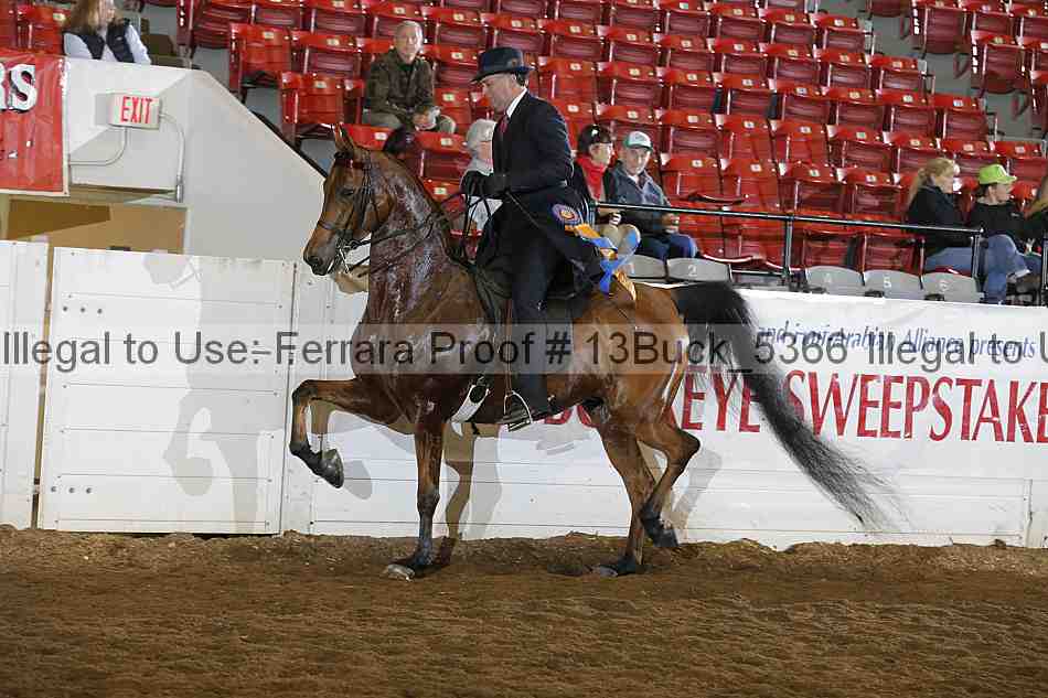 Proof 13buck_5366