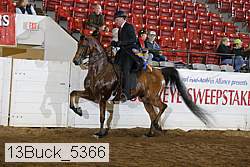 13buck_5366 proof
