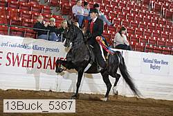 13buck_5367 proof