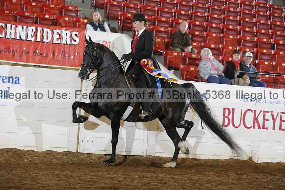 Proof 13buck_5368