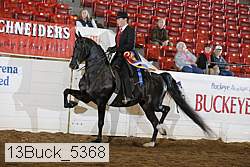 13buck_5368 proof