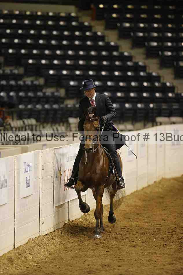Proof 13buck_5369