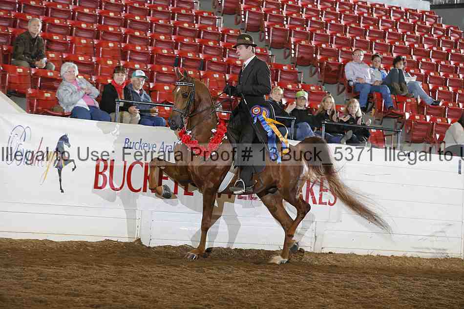 Proof 13buck_5371