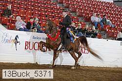 13buck_5371 proof