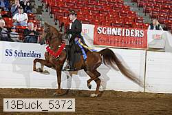 13buck_5372 proof