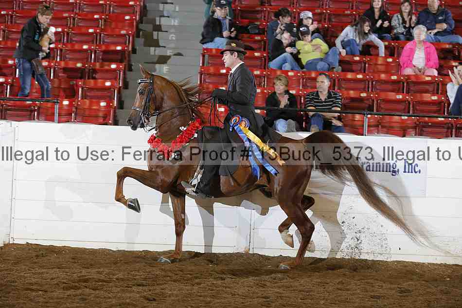 Proof 13buck_5373