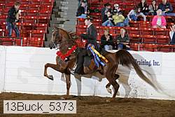13buck_5373 proof