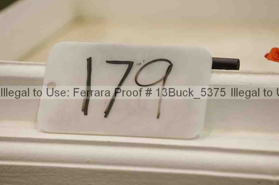 Proof 13buck_5375
