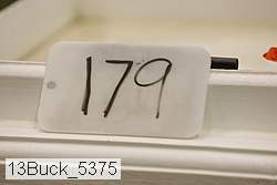 13buck_5375 proof