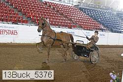 13buck_5376 proof