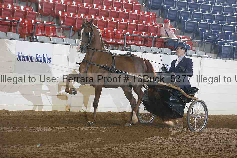 Proof 13buck_5377