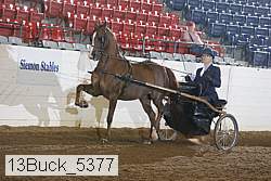 13buck_5377 proof