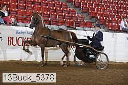 13buck_5378 proof