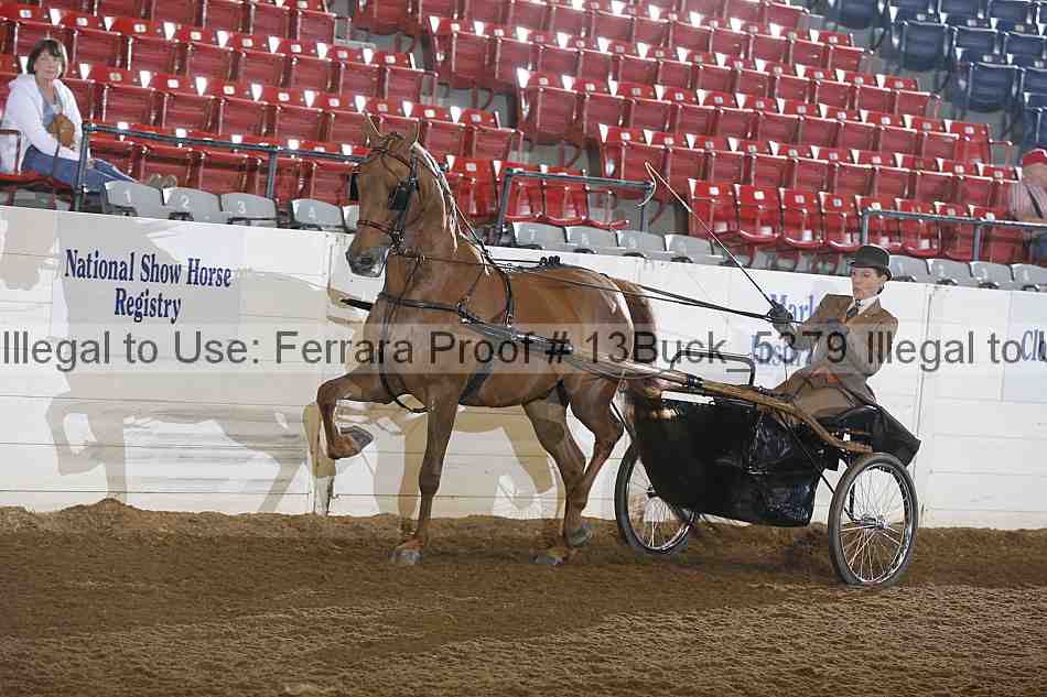 Proof 13buck_5379