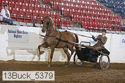 13buck_5379 proof