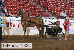 13buck_5380 proof