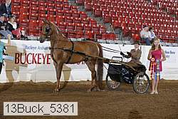 13buck_5381 proof