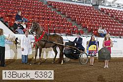 13buck_5382 proof