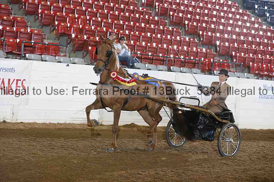 Proof 13buck_5384