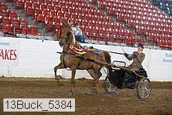 13buck_5384 proof