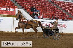 13buck_5385 proof