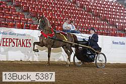 13buck_5387 proof