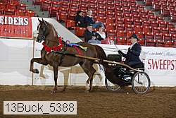 13buck_5388 proof