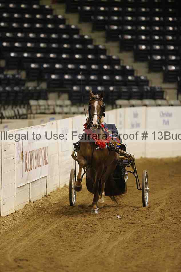 Proof 13buck_5389