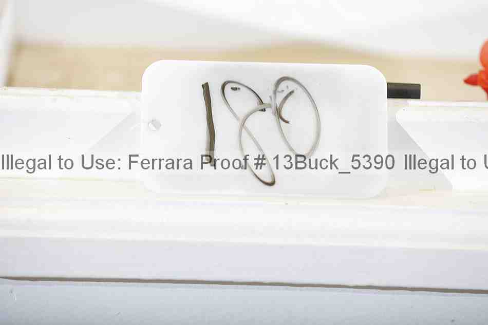 Proof 13buck_5390