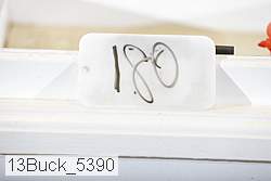13buck_5390 proof