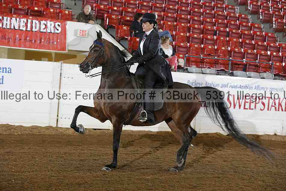 Proof 13buck_5391