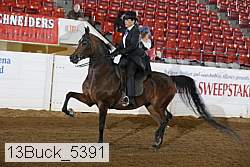 13buck_5391 proof